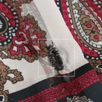 90s 総柄 古着 トップス レディース